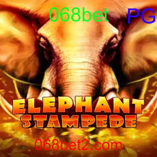 ElephantStampede